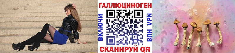Галлюциногенные грибы Psilocybe  Купить  Пойковский 